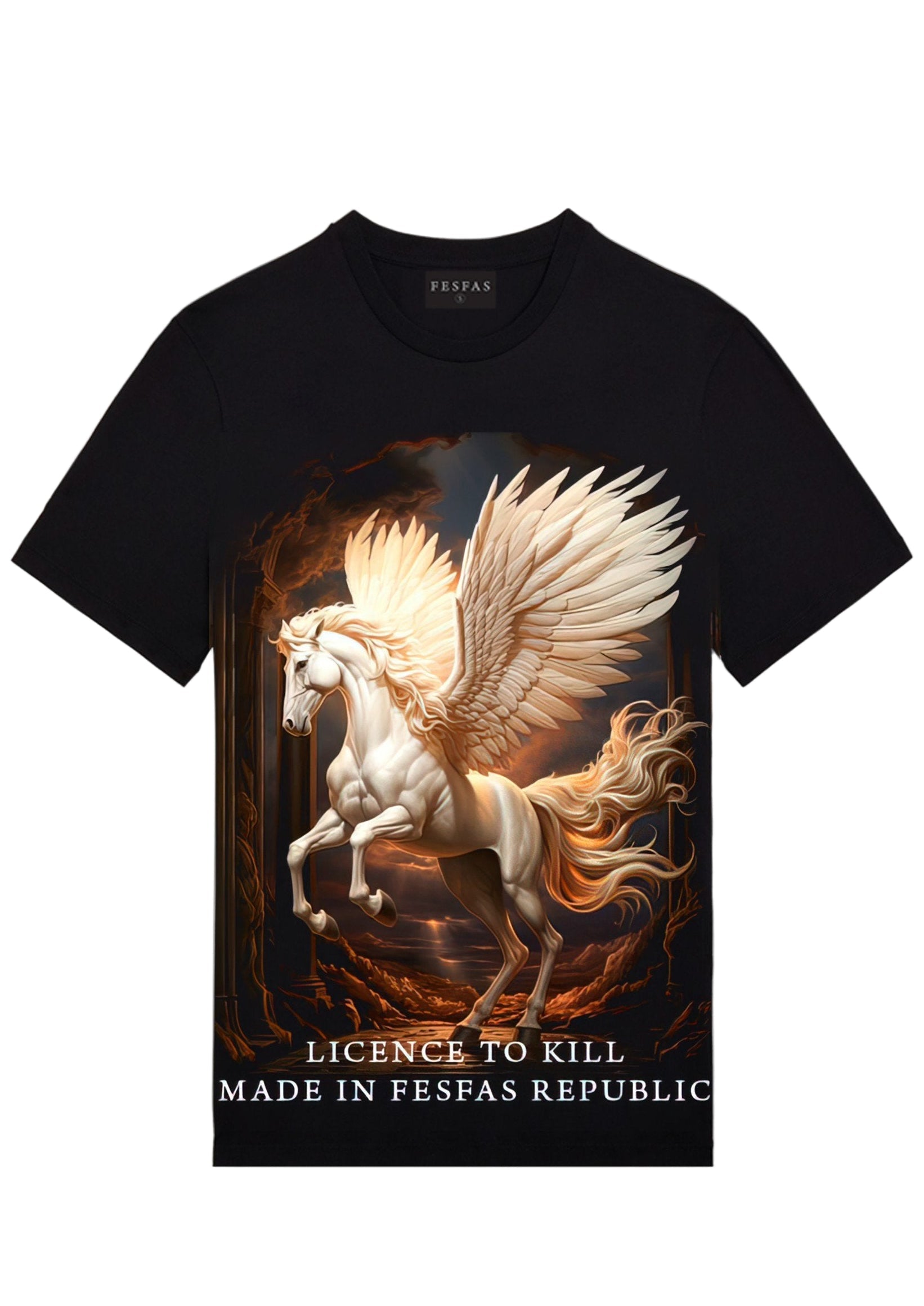 FesFas pegasus-print | Áo Thun | Nam | Màu Đen