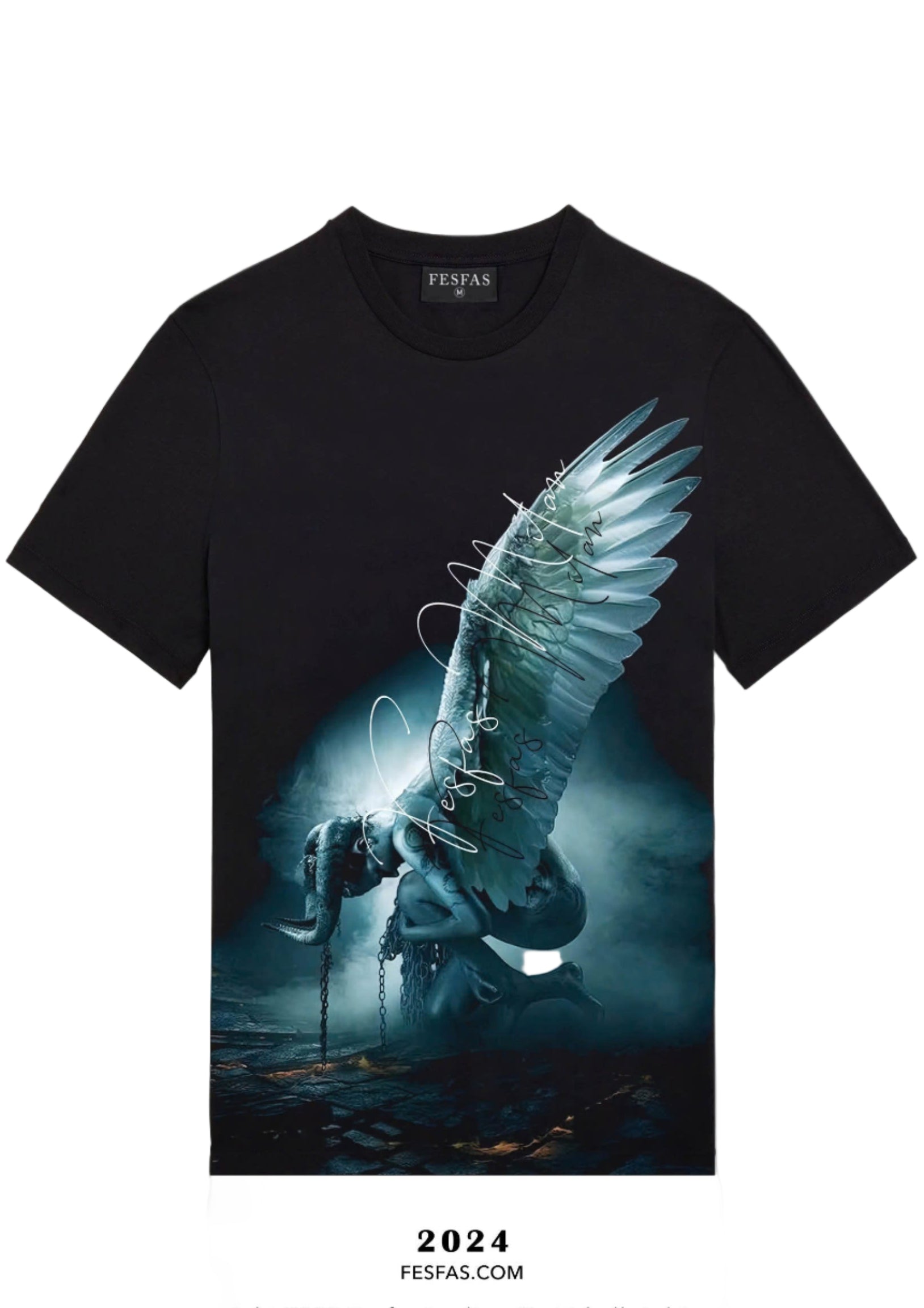 FesFas fallen angel-print | Áo Thun | Nam | Màu Đen